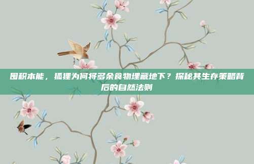 囤积本能，狐狸为何将多余食物埋藏地下？探秘其生存策略背后的自然法则