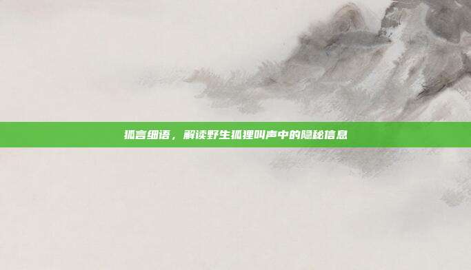 狐言细语，解读野生狐狸叫声中的隐秘信息