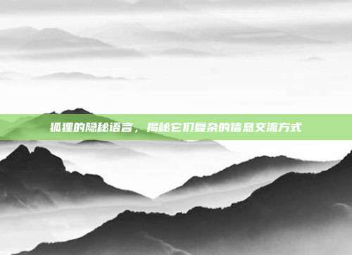 狐狸的隐秘语言，揭秘它们复杂的信息交流方式