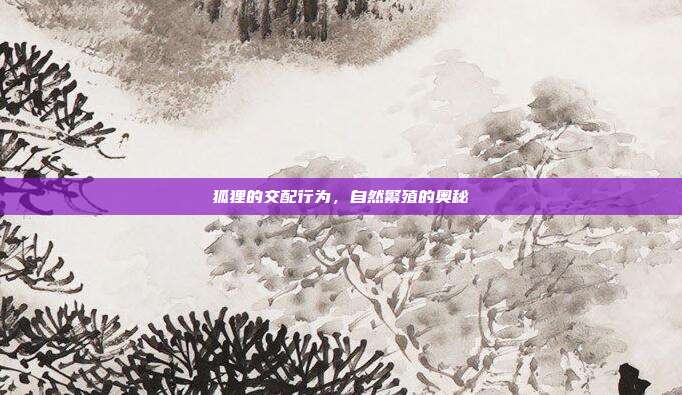狐狸的交配行为，自然繁殖的奥秘