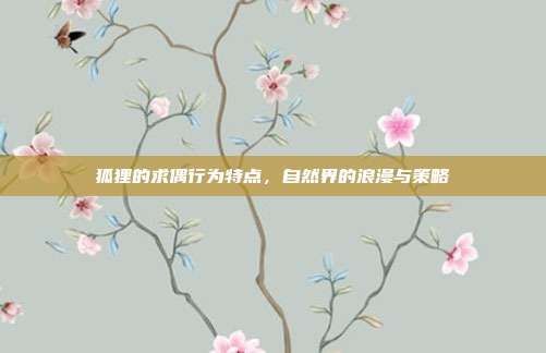 狐狸的求偶行为特点，自然界的浪漫与策略