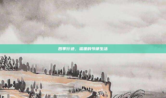 四季行迹，狐狸的节律生活