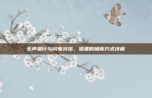 无声潜行与闪电突袭，狐狸的捕食方式详解