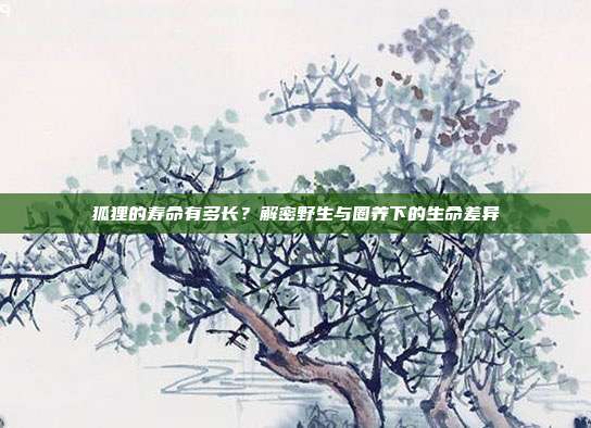 狐狸的寿命有多长？解密野生与圈养下的生命差异