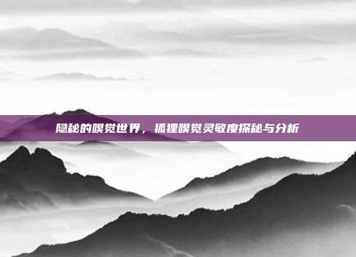 隐秘的嗅觉世界，狐狸嗅觉灵敏度探秘与分析