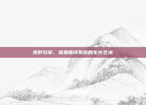荒野引擎，狐狸循环系统的生存艺术