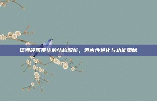 狐狸呼吸系统的结构解析，适应性进化与功能奥秘