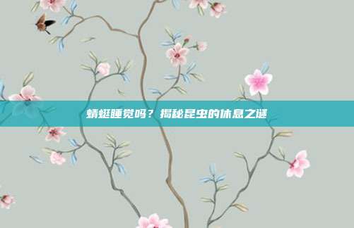 蜻蜓睡觉吗？揭秘昆虫的休息之谜