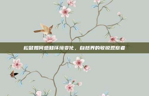 松鼠如何感知环境变化，自然界的敏锐观察者