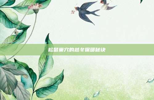 松鼠巢穴的越冬保暖秘诀