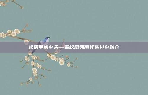 松果里的冬天—看松鼠如何打造过冬粮仓