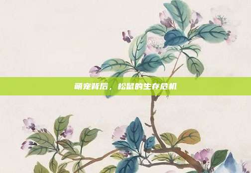 萌宠背后，松鼠的生存危机
