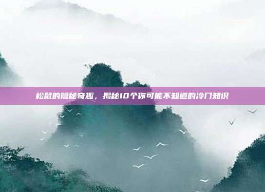 松鼠的隐秘奇趣，揭秘10个你可能不知道的冷门知识