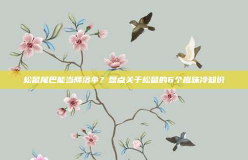 松鼠尾巴能当降落伞？盘点关于松鼠的6个趣味冷知识