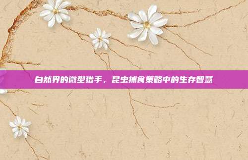 自然界的微型猎手，昆虫捕食策略中的生存智慧