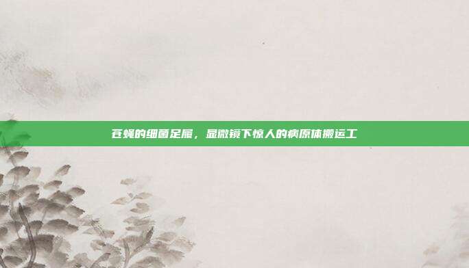 苍蝇的细菌足履，显微镜下惊人的病原体搬运工