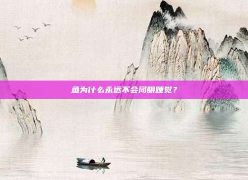 鱼为什么永远不会闭眼睡觉？