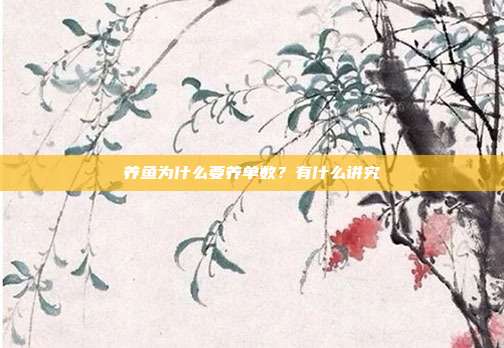 养鱼为什么要养单数？有什么讲究