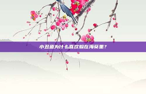 小丑鱼为什么喜欢躲在海葵里？