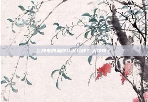会放电的鱼你认识几种？太神奇了
