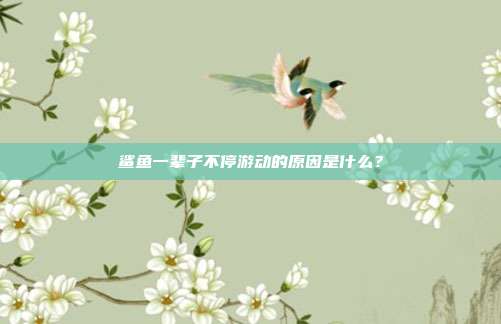 鲨鱼一辈子不停游动的原因是什么？