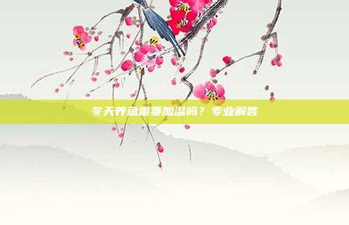 冬天养鱼需要加温吗？专业解答