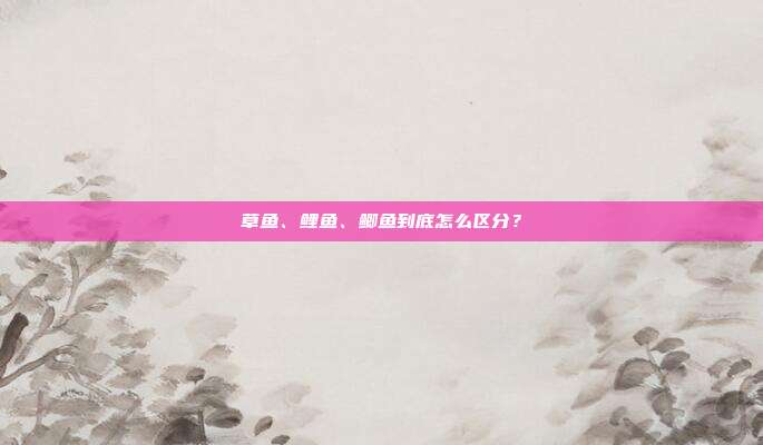 草鱼、鲤鱼、鲫鱼到底怎么区分？