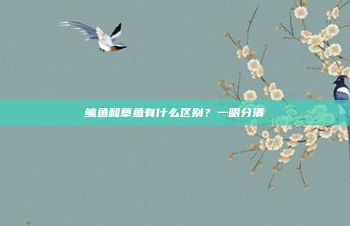鳊鱼和草鱼有什么区别？一眼分清