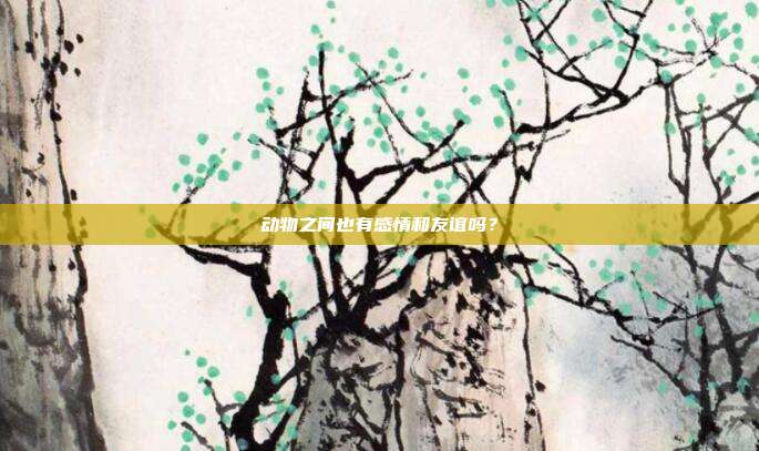 动物之间也有感情和友谊吗？