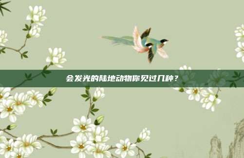 会发光的陆地动物你见过几种？