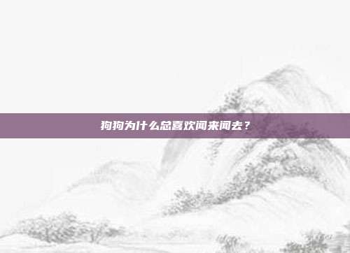 狗狗为什么总喜欢闻来闻去？
