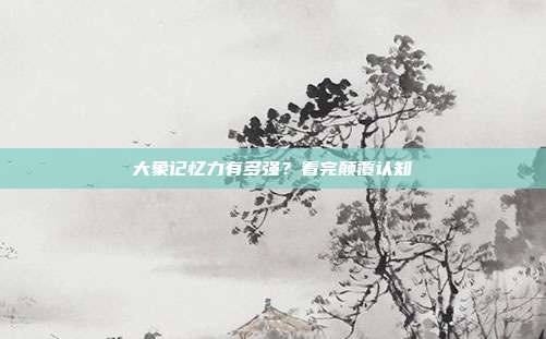大象记忆力有多强？看完颠覆认知