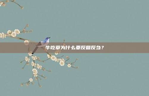 牛吃草为什么要反复反刍？