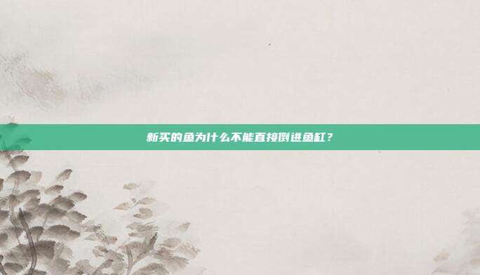 新买的鱼为什么不能直接倒进鱼缸？