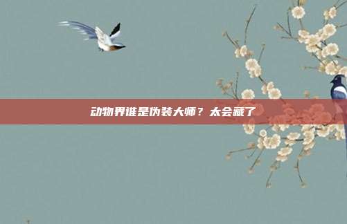 动物界谁是伪装大师？太会藏了