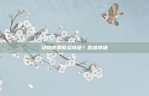 动物求偶有多奇葩？各显神通