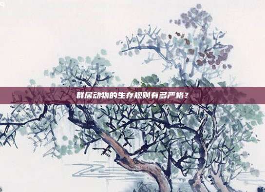 群居动物的生存规则有多严格？