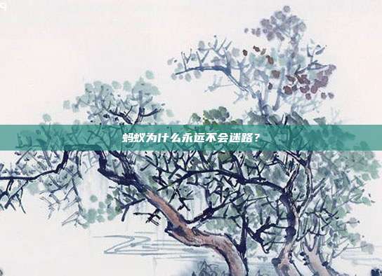 蚂蚁为什么永远不会迷路？