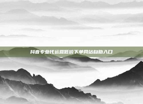 抖音专业代运营低价下单网站自助入口