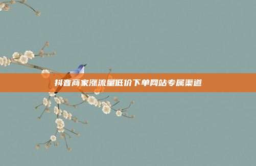 抖音商家涨流量低价下单网站专属渠道