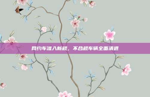 网约车准入新规，不合规车辆全面清退