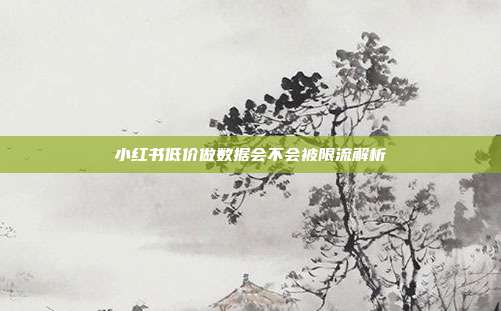 小红书低价做数据会不会被限流解析