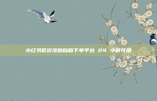小红书低价涨粉自助下单平台 24 小时可用