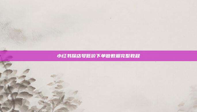 小红书探店号低价下单做数据完整教程