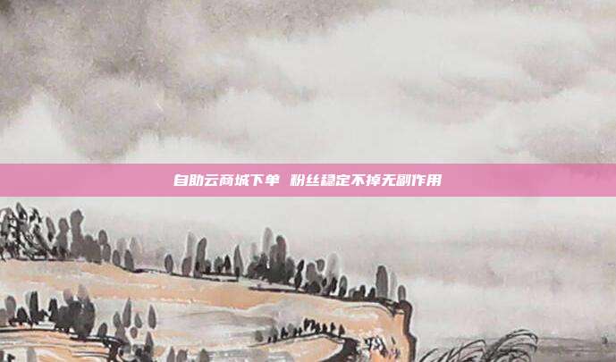 自助云商城下单 粉丝稳定不掉无副作用