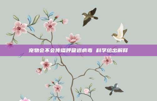 宠物会不会传播呼吸道病毒 科学给出解释