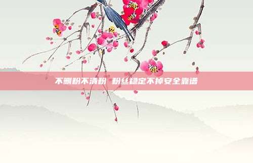 不删粉不清粉 粉丝稳定不掉安全靠谱