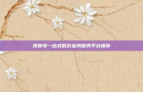 视频号一站式低价业务服务平台推荐