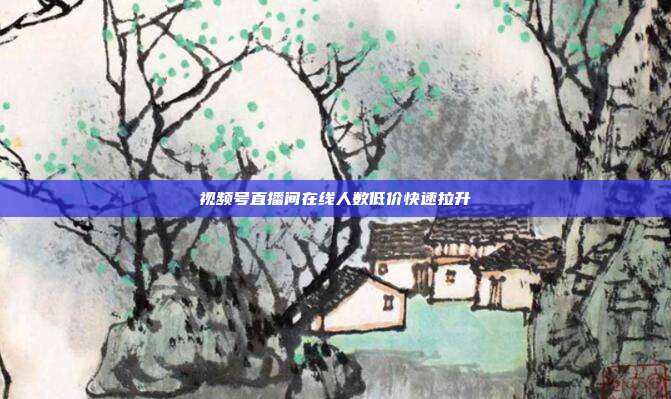 视频号直播间在线人数低价快速拉升