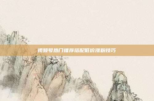 视频号热门推荐搭配低价涨粉技巧
